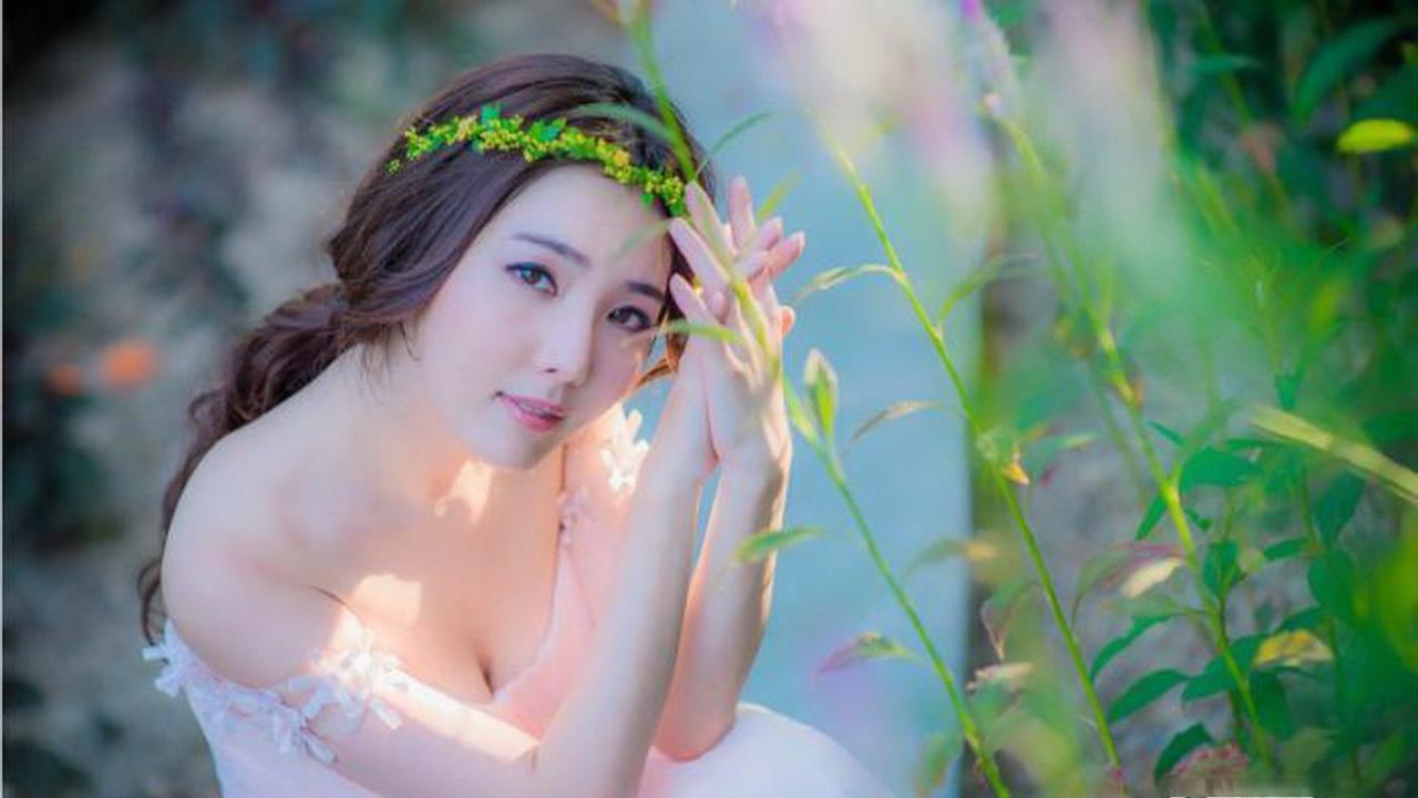 口袋妖怪，努力值与荣耀之路